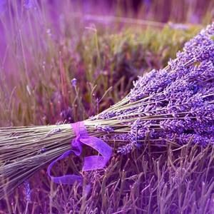 Meet your Posher, Mi